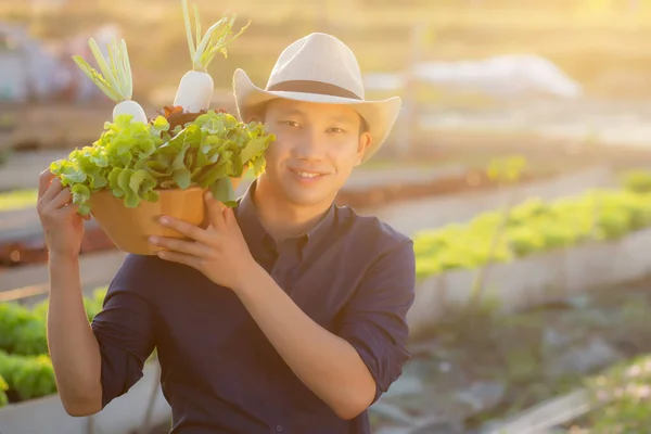 Retrato Jovem Asiático Homem Sorrindo Colheita Pegar Horta Orgânica Fresca — Fotografia de Stock