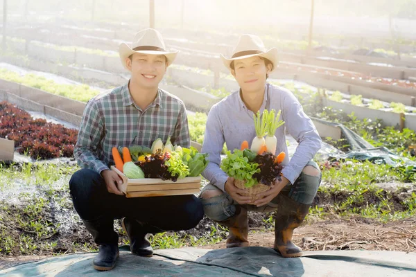 Krásný Portrét Mladý Dva Muži Sklizeň Vyzvednutí Čerstvé Organické Zeleniny — Stock fotografie