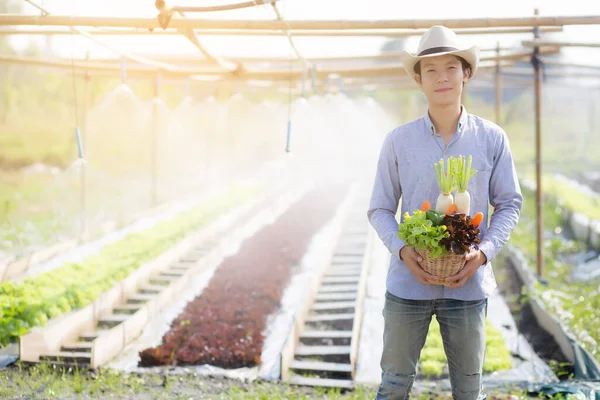 農業と健康的な食品やビジネスのコンセプトのための栽培 養液栽培の農場でバスケットに新鮮な有機野菜のキッチンガーデンを拾うと若いアジアの男が笑顔肖像画 — ストック写真
