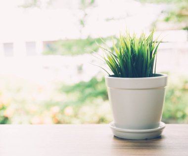 Güzel yapay çim ağacı saksılarda seramik ahşap masa örtüsü arka plan, plastik ağaç ve yapraklar ev dekorasyonu için sahte bitki yaprağı, yakın nesne.