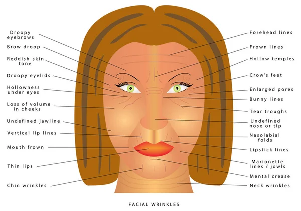 Changement de visage vieillissant — Image vectorielle