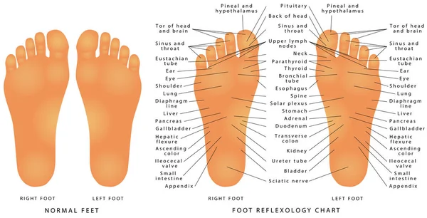 Bagan reflekologi kaki - Stok Vektor