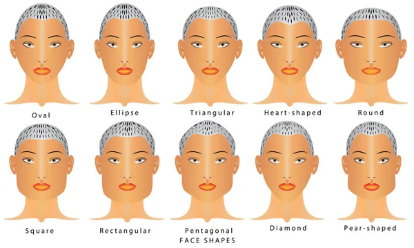 Types de visages — Image vectorielle