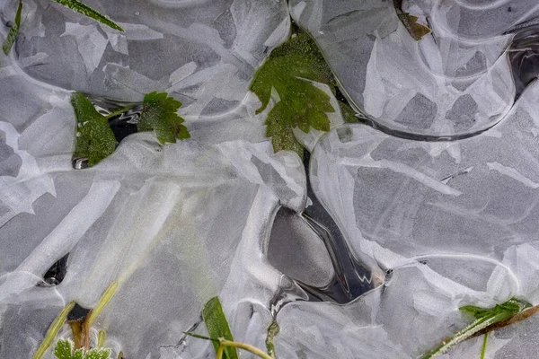 Första är tunn transparent is och grönt gräs under den — Stockfoto