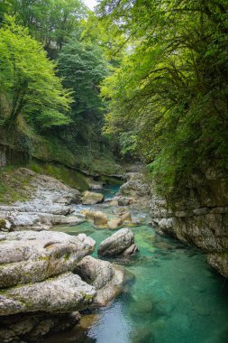 Gürcistan 'daki Martvili Kanyonu gök mavisi nehri olan doğal bir kanyondur.