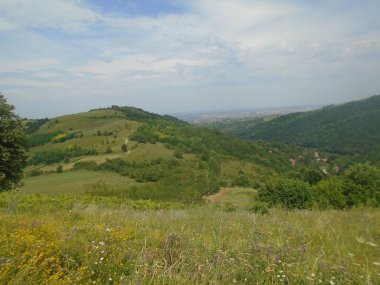 Dumbovo Hills fruska gora dağ sırtı