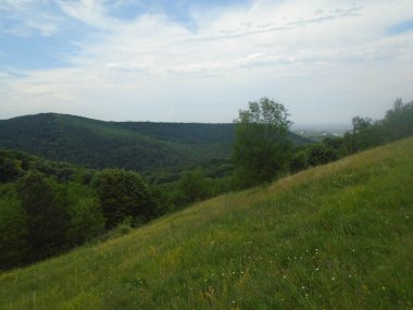 Fruska gora dağı Dumbovo tepeleri Rakovac, Sırbistan