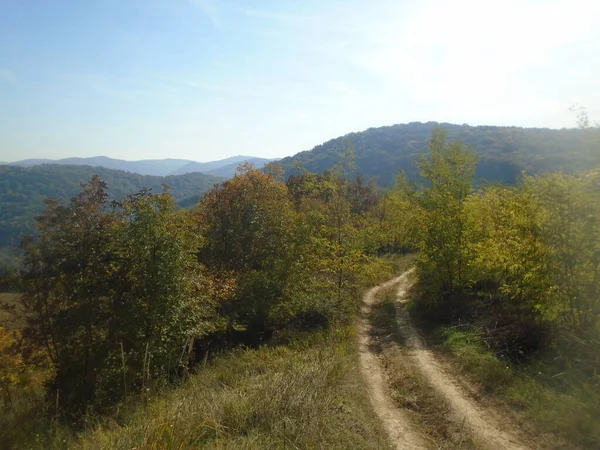 Rakovac Fruska Gora Serbia Kesten Hill — 图库照片