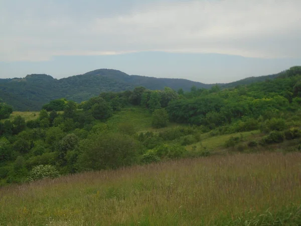 Fruska Gora Montagna Dumbovo Kisnjeva Glava Colline Rakovac Serbia Europa — Foto Stock