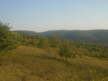 Andrevlje çayır fruska gora dağı