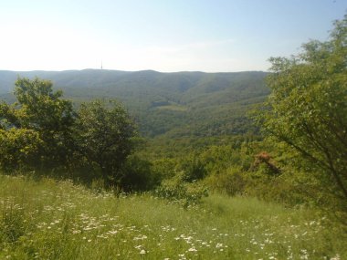 Orlovo bojiste fruska gora Dağı
