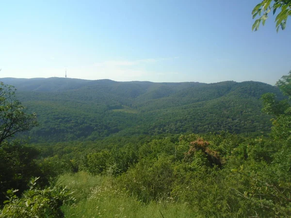 Orlovo Bojiste Fruska Gora Montanha — Fotografia de Stock