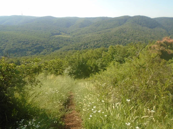 Orlovo Bojiste Fruska Gora Montaña — Foto de Stock