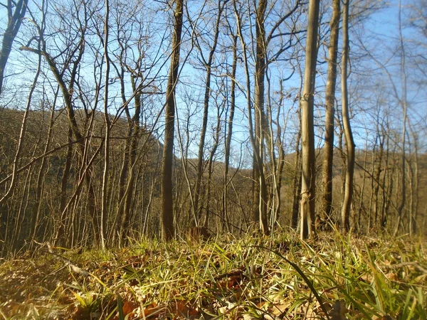 Iriski Venac Fruska Gora Mountain — Stock Photo, Image