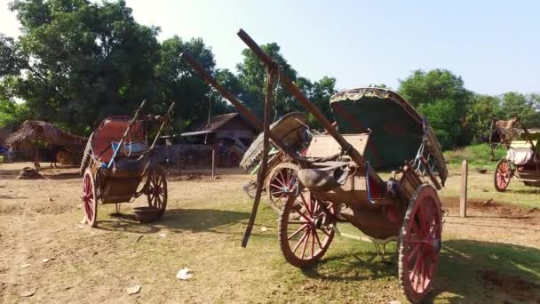 Carros de caballos en Myanmar — Vídeo de stock
