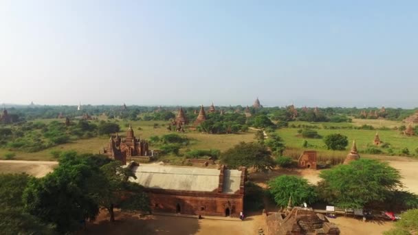 Bagan landskap med tempel, Myanmar — Stockvideo