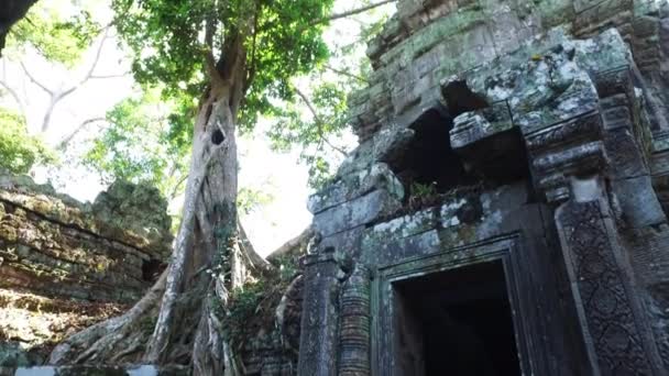 Ta ruïnes prohm tempel — Stockvideo
