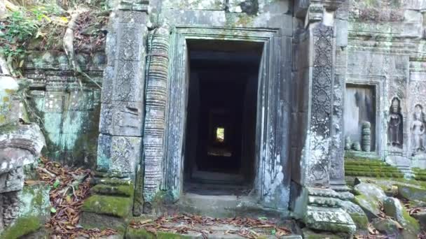 Ta Prohm Tapınağı'nda karmaşık Angkor Wat, Kamboçya. — Stok video