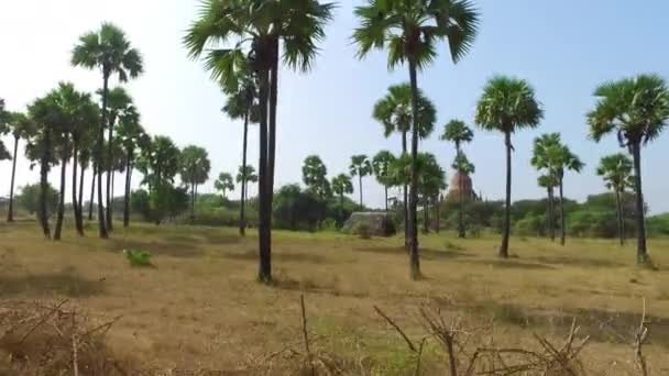 Estrada rural de Bagan, Mianmar — Vídeo de Stock