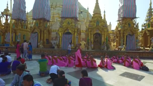 Пагода shwedagon в місті yangon — стокове відео