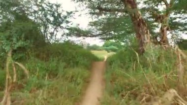 Kırsal yol Bagan, Myanmar