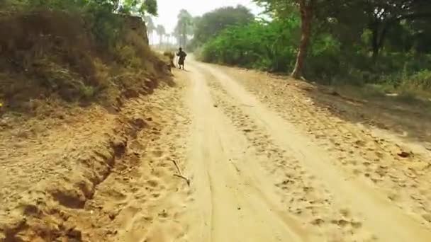 Homem birmanês em Bagan — Vídeo de Stock