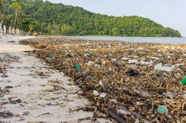 Çevre felaketi. Bai Sao sahilinde çöplük. Kıyısında beyaz kum var..