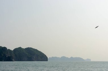 Halong Körfezi, Güney Çin Denizi, Vietnam, Güneydoğu Asya 'da kireçtaşı kayalıkları arasında sisli bir gün. Uçan kartal