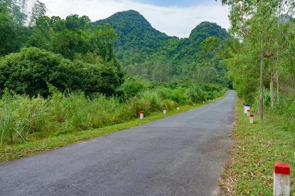 Jungle Highway Picturesque Beautiful Deserted Road Jungle Cat Vietnam — Stock Photo, Image