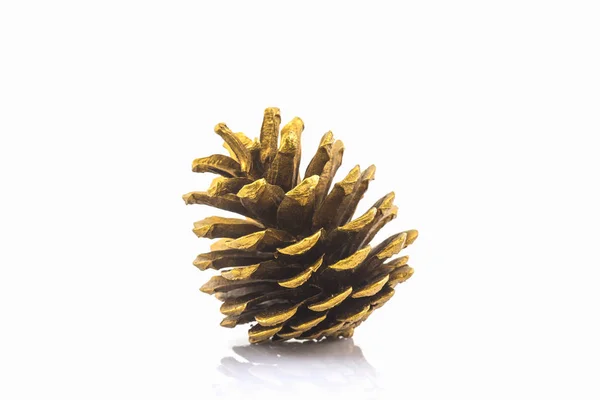 Hermoso cono de pino dorado . —  Fotos de Stock