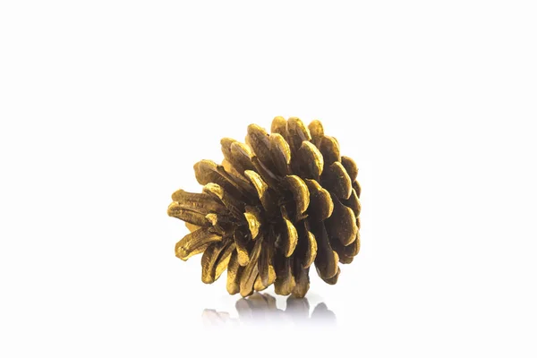 Beautiful golden pine cone. — Stock Photo, Image