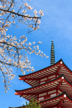 Chureito Pagoda veya kırmızı Pagoda.