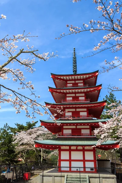 Chureito Pagoda v Arakura Sengen svatyně. — Stock fotografie