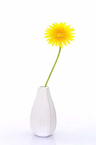 Closeup a yellow gerbera daisy flower in vase. — Stock Photo, Image