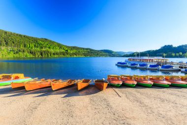 Göl Titisee Neustadt Kara Orman. 