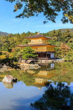 Kinkakuji Tapınağı, altın tapınak su yansıması ile.
