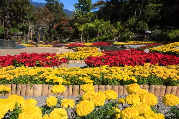 Villa Royal med trädgård av Doi Tung och Mae Fah Luang Garden. — Stockfoto