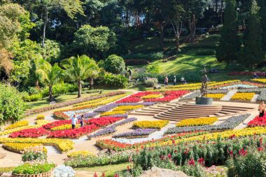 Doi Tung Kraliyet villası ve Mae Fah Luang Bahçe, Chiang Rai, Thail