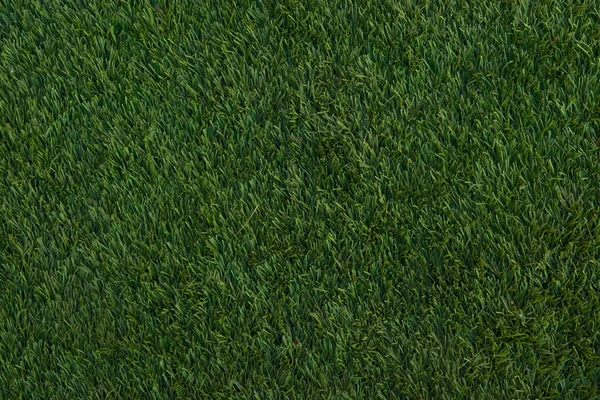 Green grass texture for background — Stock Photo, Image