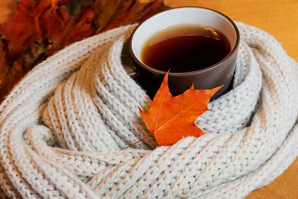 秋季时间︰ 杯热茶和围巾 — 图库照片