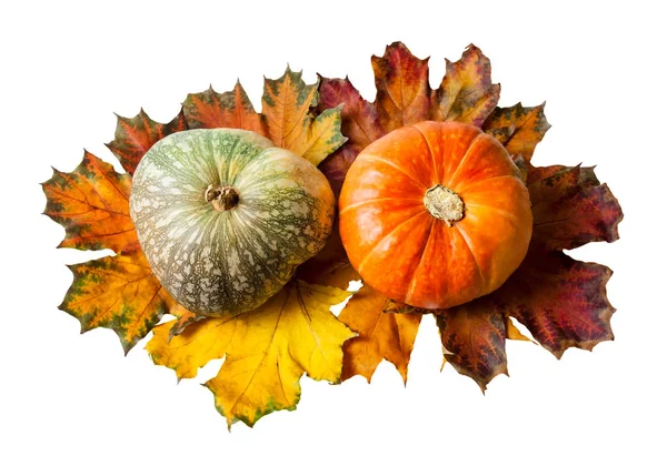 Oranje en groene pompoenen geïsoleerd op witte achtergrond — Stockfoto