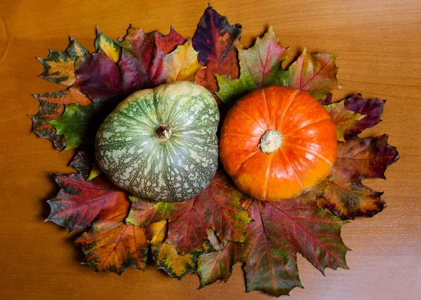 Twee pompoenen - oranje en groene - op houten achtergrond — Stockfoto