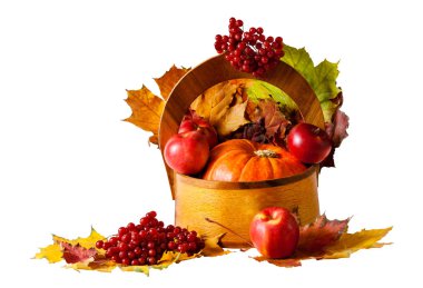 Kabak ve elma ahşap sepet beyaz arka plan üzerinde izole içinde