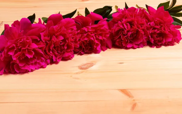 Borda floral com peônias vermelhas em fundo de madeira — Fotografia de Stock