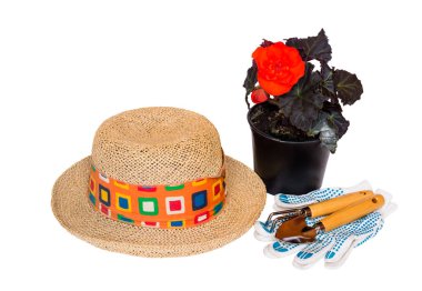 Şapka, genç fide begonia çiçek ve Bahçe aletleri izole 