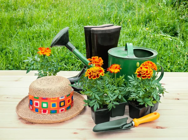 橘红色的花 园艺铲子 橡胶靴和浇灌罐的户外幼苗 — 图库照片