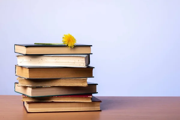 Montón Libros Con Diente León Parte Superior Una Mesa Contra — Foto de Stock