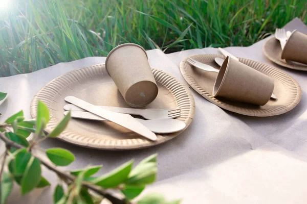 sets of disposable biodegradable tableware on craft paper in nature. biodegradable plates and glasses of paper and spoons, forks and knives made of wood. eco friendly. modern replacement