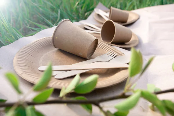 sets of disposable biodegradable tableware on craft paper in nature. biodegradable plates and glasses of paper and spoons, forks and knives made of wood. eco friendly. modern replacement