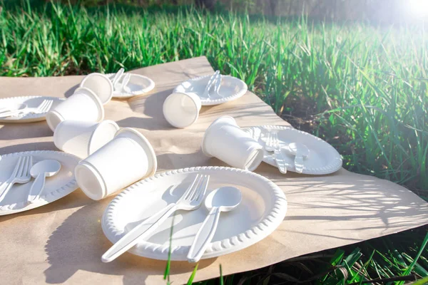 Vajilla Desechable Biodegradable Materiales Respetuosos Con Medio Ambiente Cucharas Tenedores — Foto de Stock